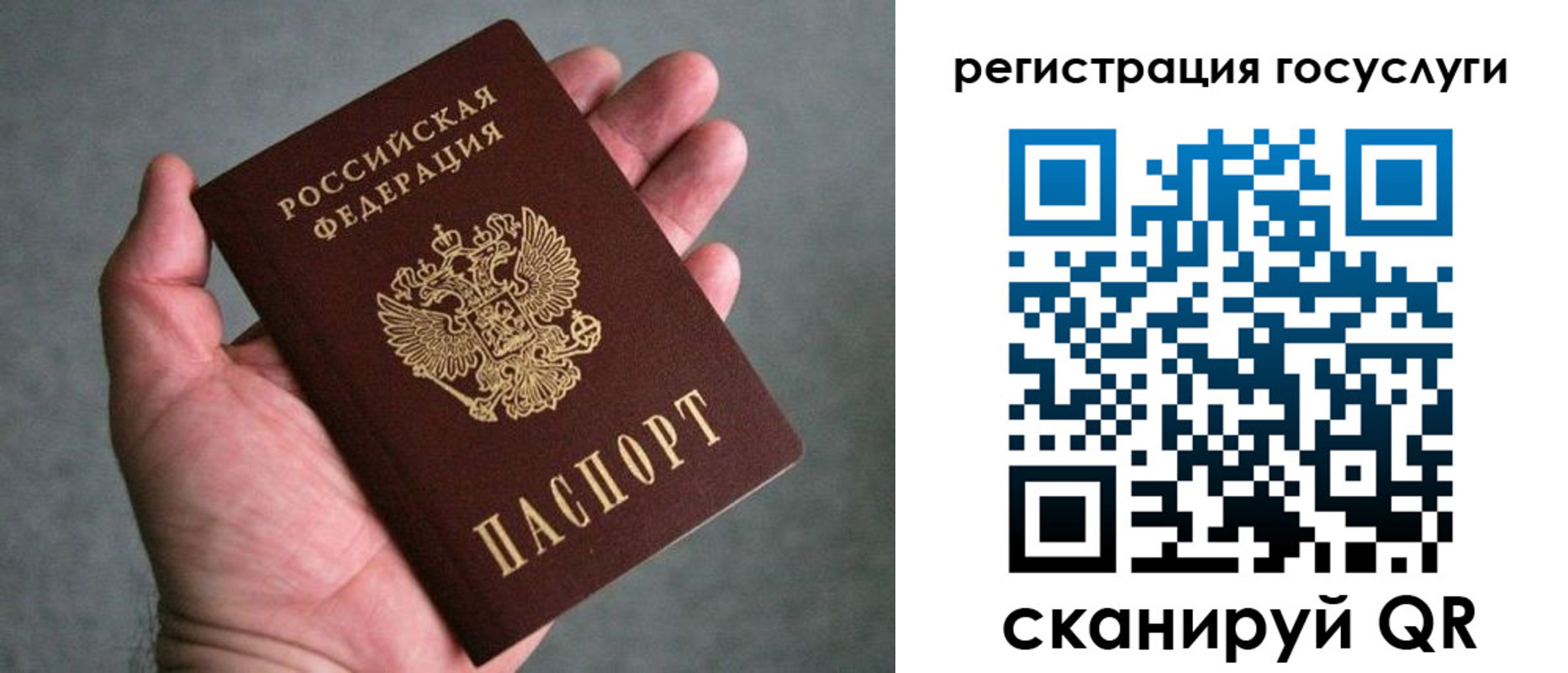 прописка поиск в Каргате
